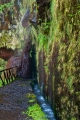 440_Madera_Levada Risco
